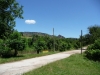 Главният път в село Боровица