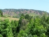 Гледки от село Боровица